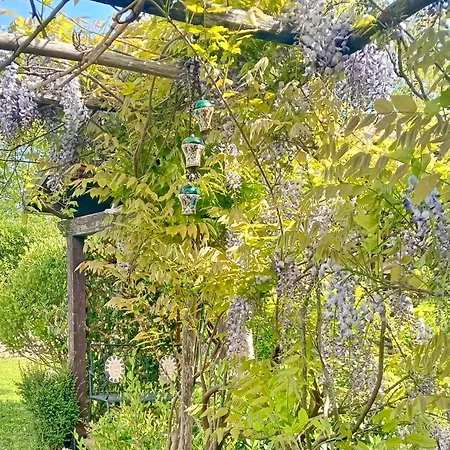 Casa vacanze Casa In Mezzo Al *